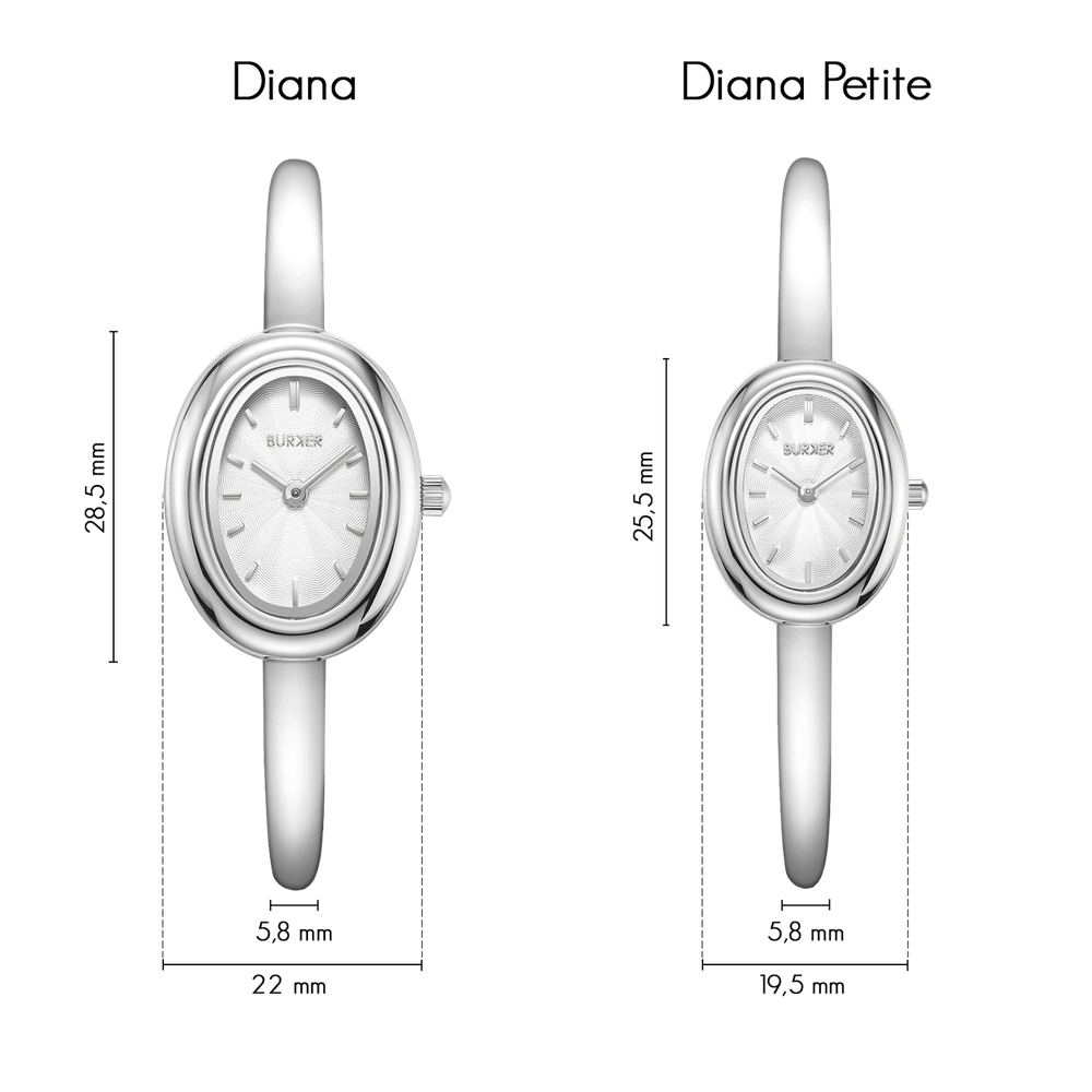 Diana Silver White - изображение 4