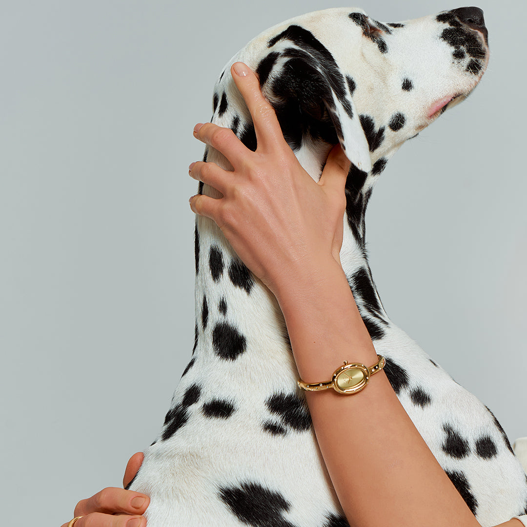 Diana Dalmatian Gold - изображение 2