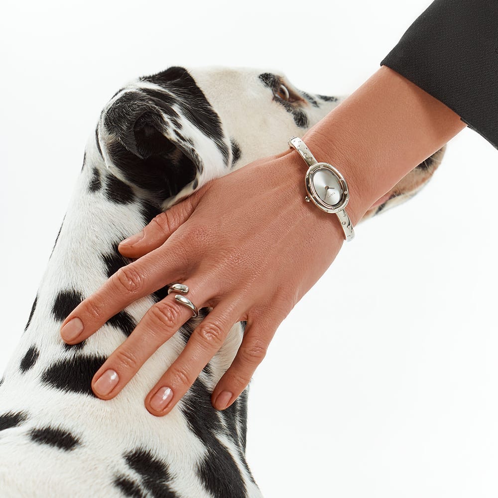 Diana Dalmatian Silver - изображение 2