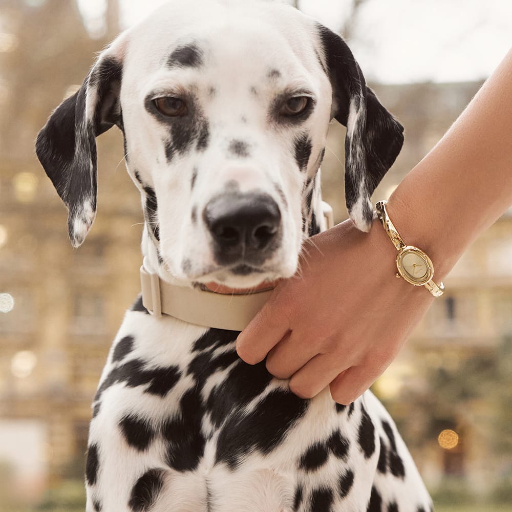 Diana Petite Dalmatian Gold - изображение 6